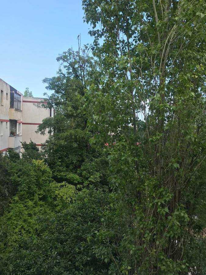 Apartament Myria Constanţa Exteriör bild